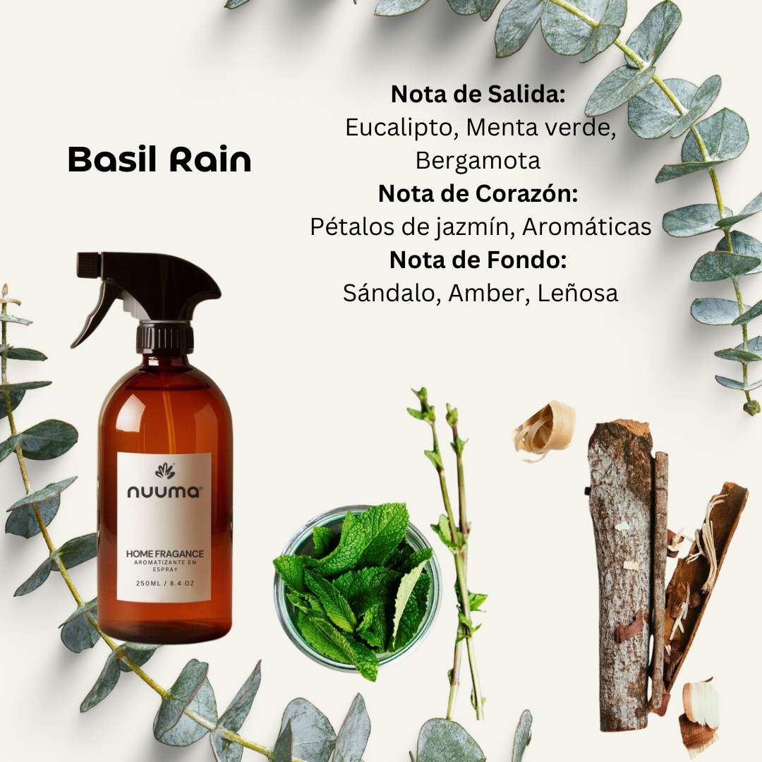 Basil Rain