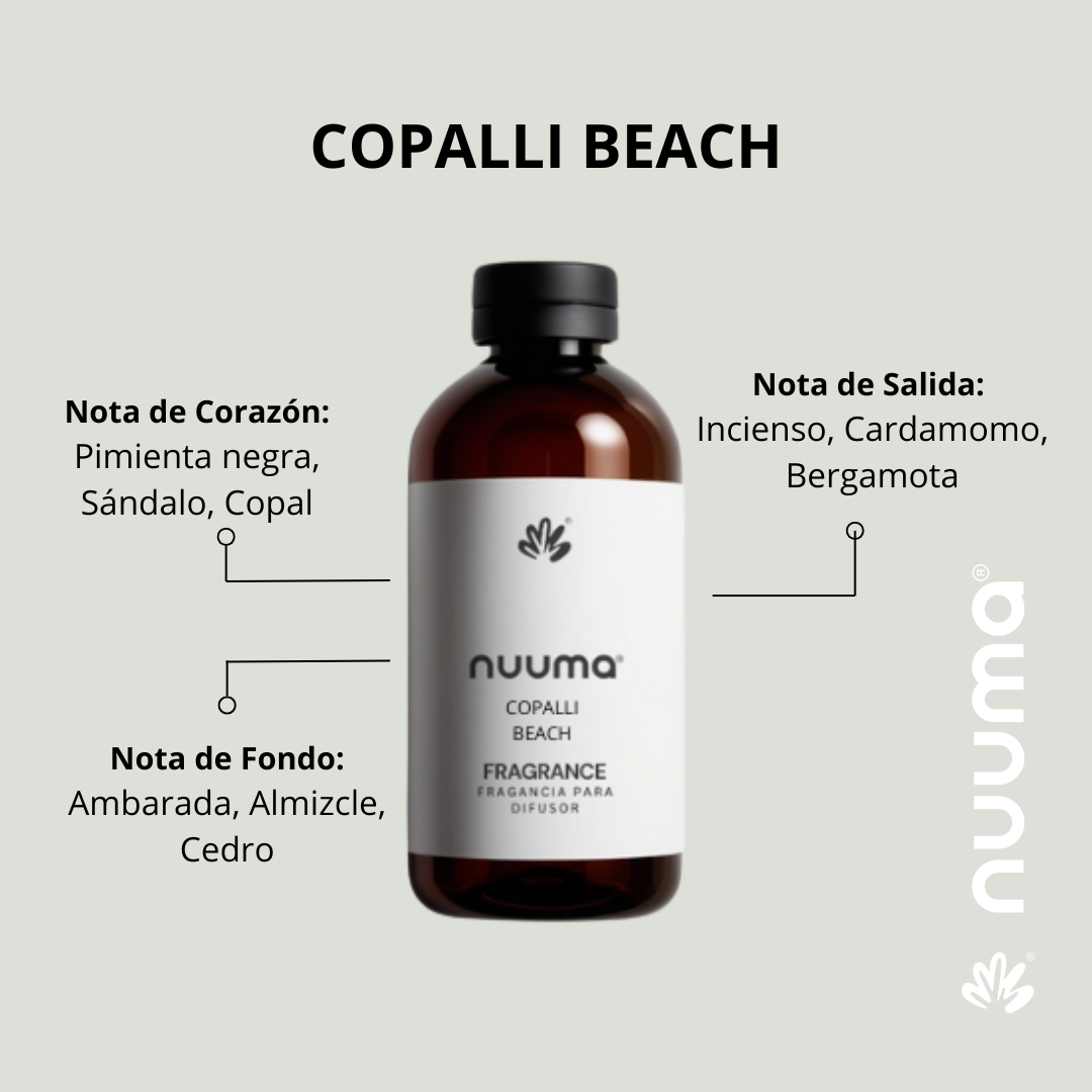 Copalli Beach