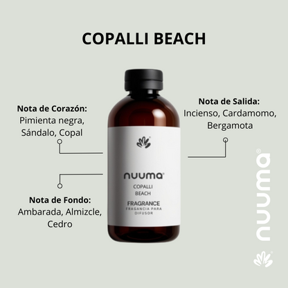 Copalli Beach