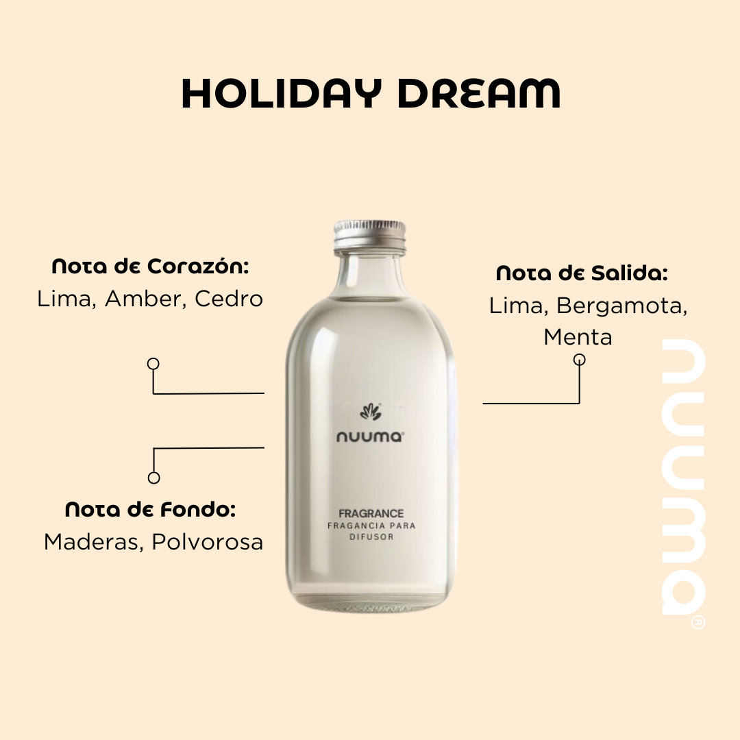 Holiday Dream