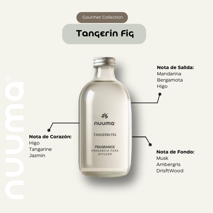 Tangerin Fig